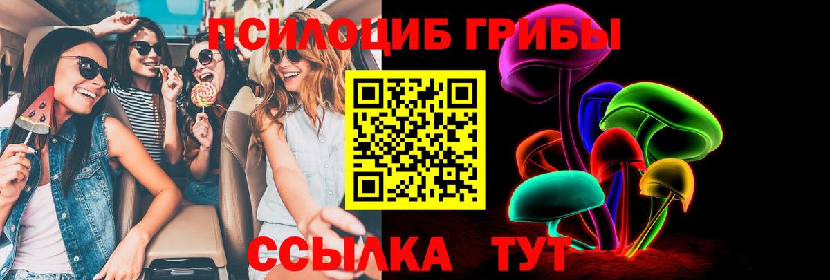 Псилоцибиновые грибы Psilocybe  Вход с VPN  Энгельс 