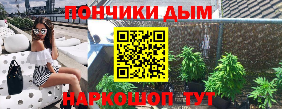 Канабис конопля Энгельс